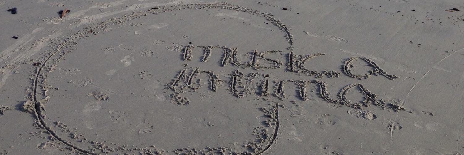 Community Rebuilding