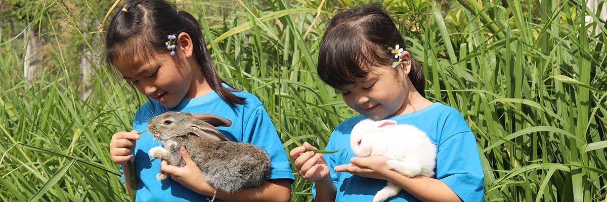 Community Rebuilding