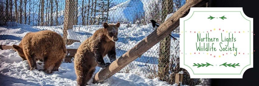 Community Rebuilding